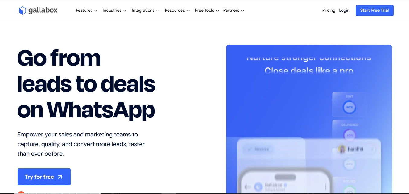 Bulk Whatsapp Marketing Service Provider in China